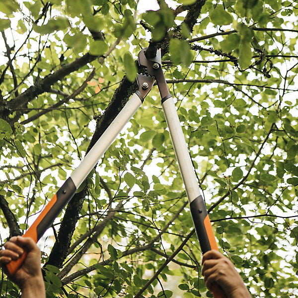 Coupe-branches à lame franche